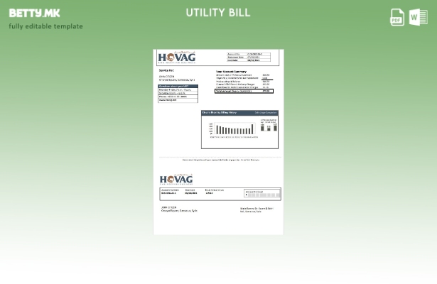 Модерен стил Шаблон за сметки за електрична енергија од компанијата Сирија Ховаг